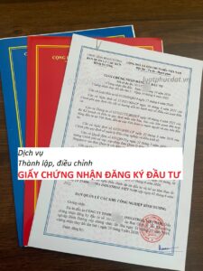 giay phep dau tu tai binh duong