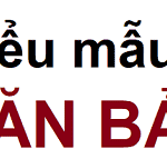 Mẫu đơn