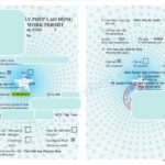 Giấy phép lao động tại bình dương visa tại bình dương gia hạn giấy phép lao động