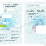 Giấy phép lao động tại bình dương visa tại bình dương gia hạn giấy phép lao động